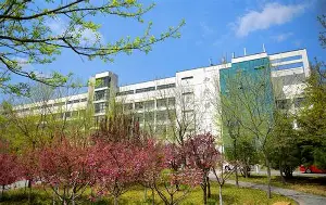 青岛黄海fc吧